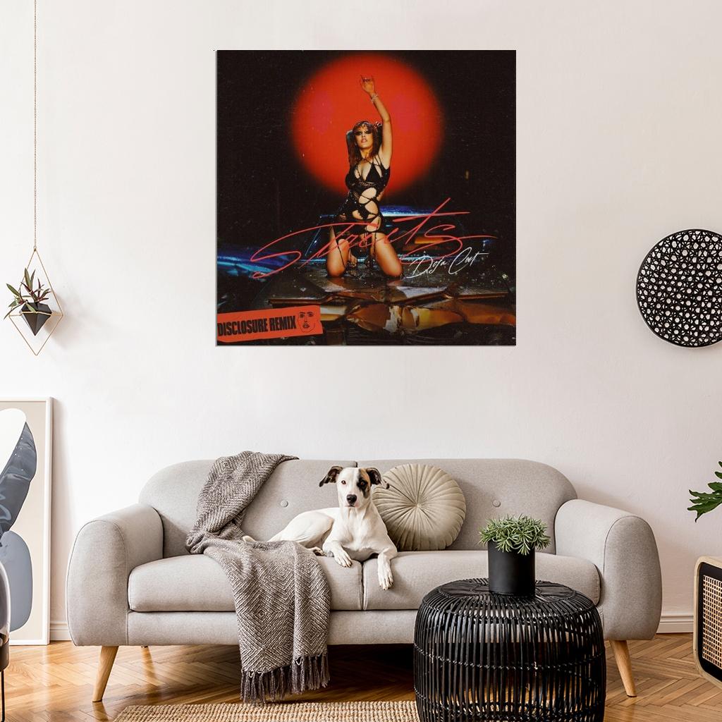 Doja Cat "Streets" Music Album HD Cover Art Poster - xonomax