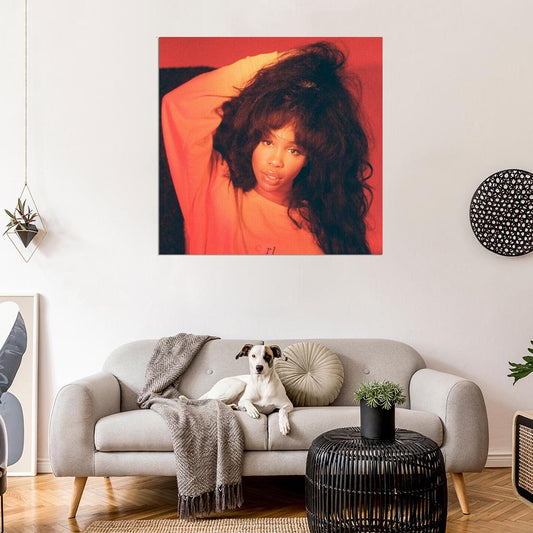 SZA "Shirt" Music Album Song HD Cover Art Poster - xonomax