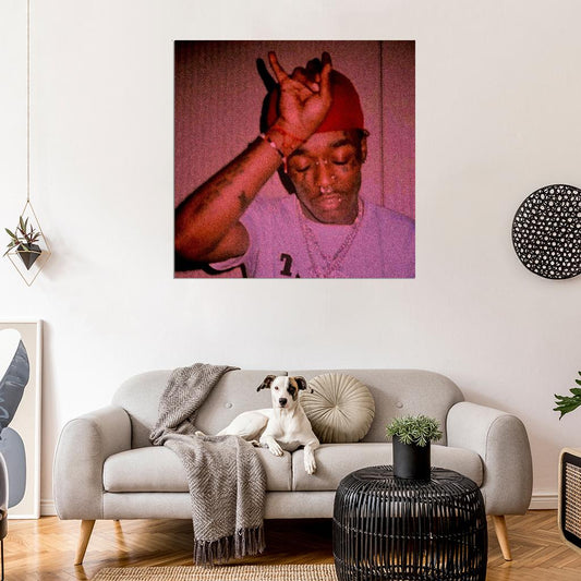 Lil Uzi Vert "Free Uzi" Music Album HD Cover Art Print Poster - xonomax