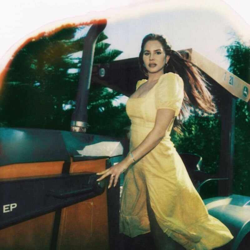 Lana Del Rey Music Photo HD Cover Art Print Poster