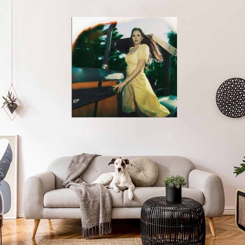Lana Del Rey Music Photo HD Cover Art Print Poster