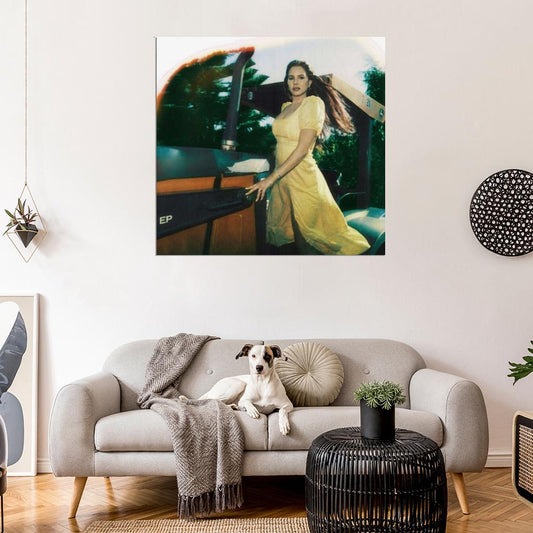 Lana Del Rey Music Photo HD Cover Art Print Poster - xonomax