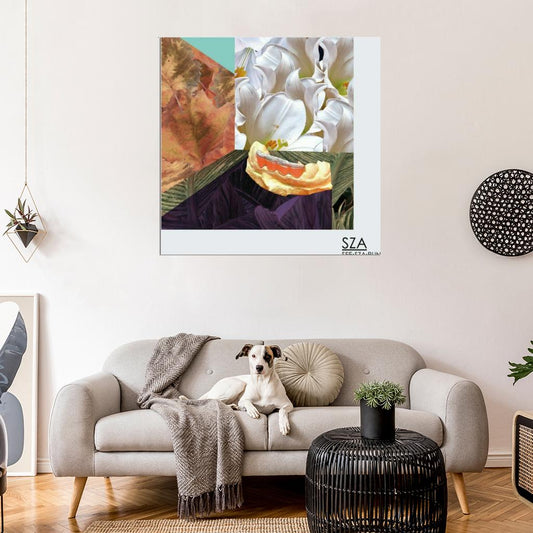 SZA “See.SZA.Run” Music Album HD Cover Art Poster - xonomax