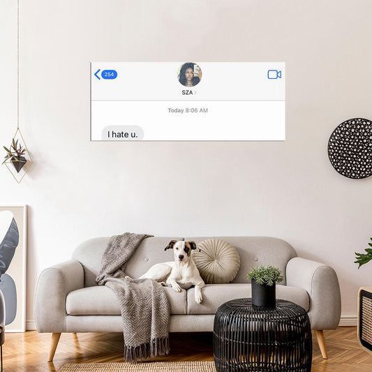 SZA "I Hate U" Music Album HD Cover Art Poster - xonomax