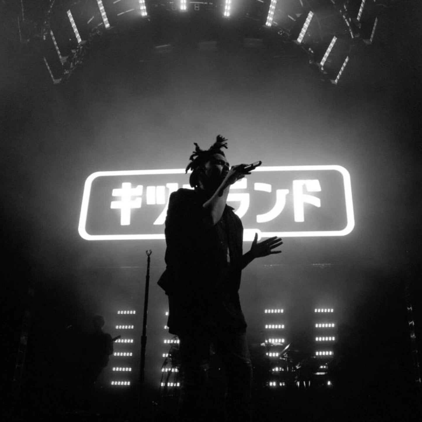 The Weeknd Iconic Music Poster R&b Star Art Print - xonomax