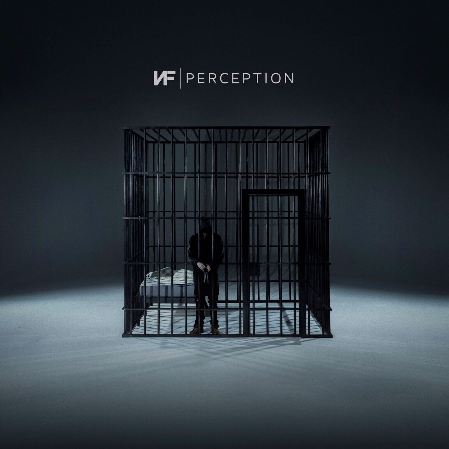 Nf Perception Album Cover Art Rap Hip-hop Music Poster Wall Print - xonomax