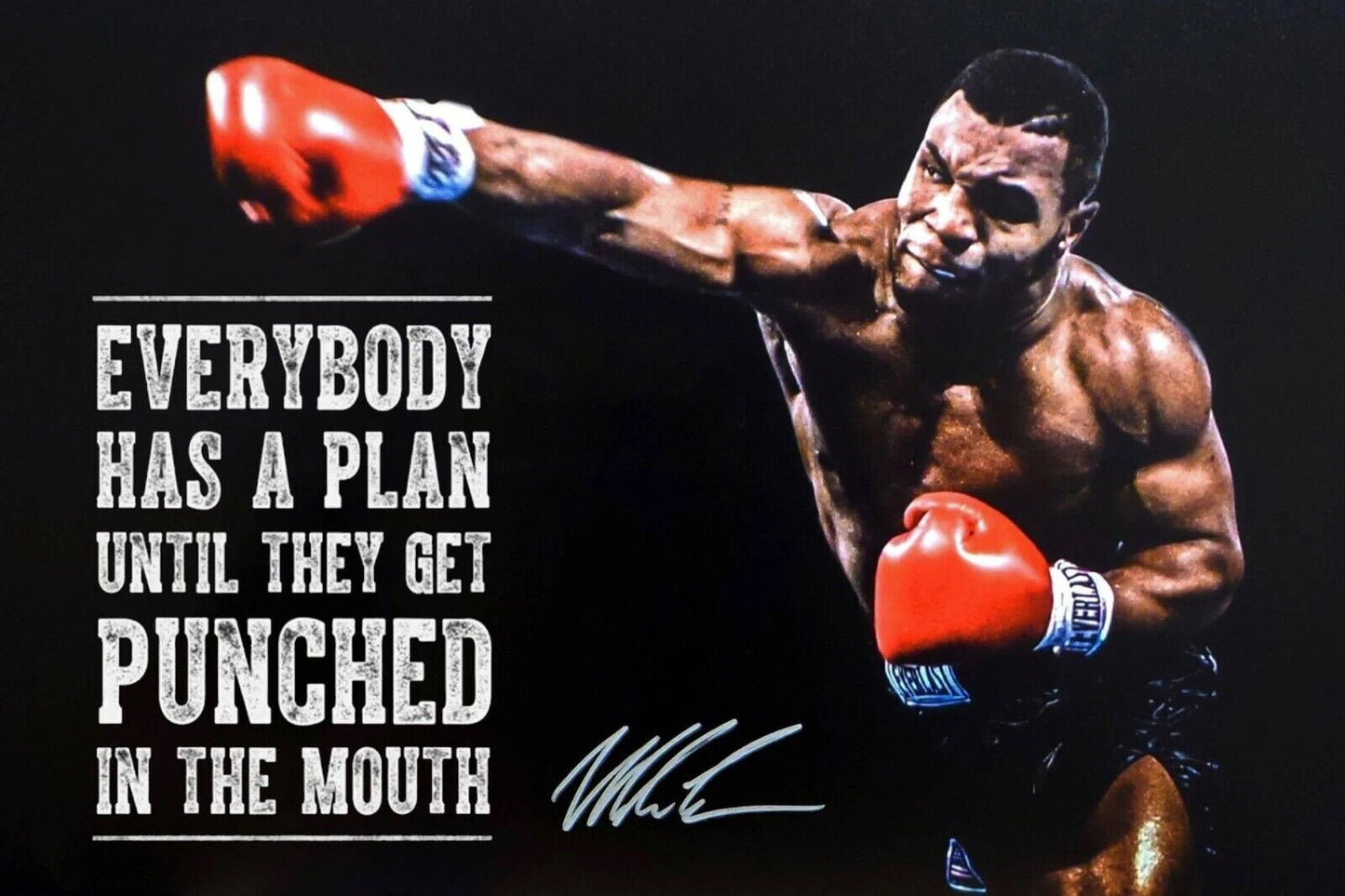 Mike Tyson Everyone Has Plan Quote Boxing Poster Motivational Sports Print Wall Art - xonomax