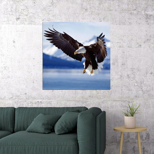 American Bald Eagle Poster National Bird Wall Art Wildlife Photography Print - xonomax