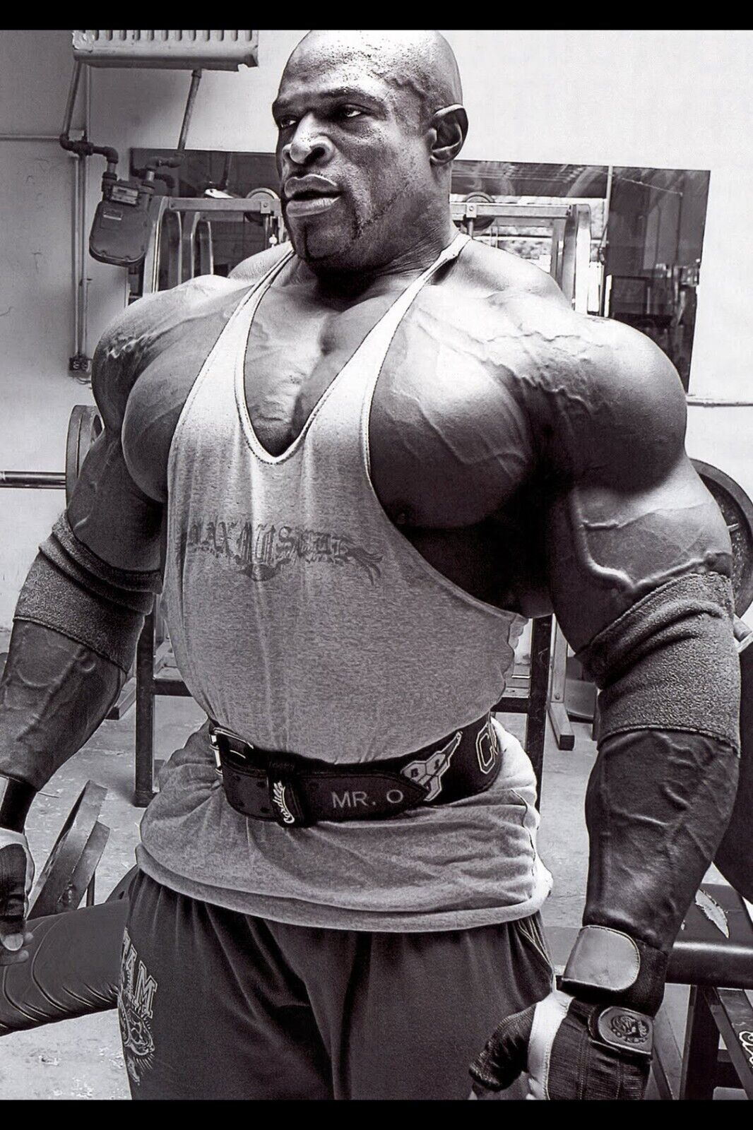 Ronnie Coleman Bodybuilding Poster Legendary Athlete Motivational Sports Print - xonomax