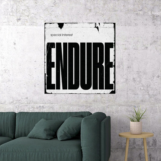 Special Interest Endure Album Cover Art Music Poster Iconic Band Print - xonomax