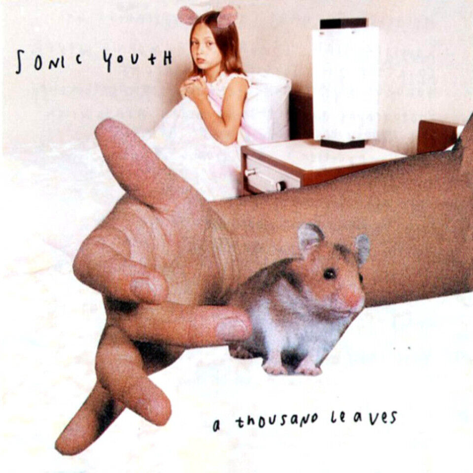 Sonic Youth Album Cover Art Music Poster Iconic Band Print - xonomax