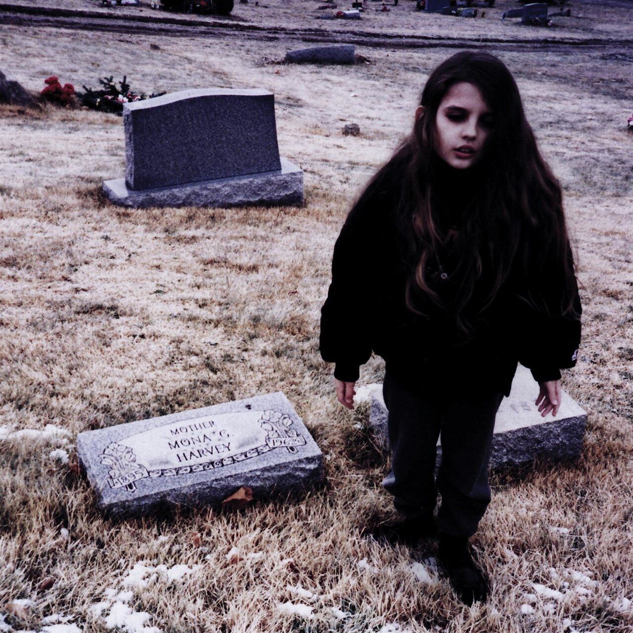 Crystal Castles Crystal Castles (ii) Album Cover Art Electronic Music Poster Band Music Print - xonomax