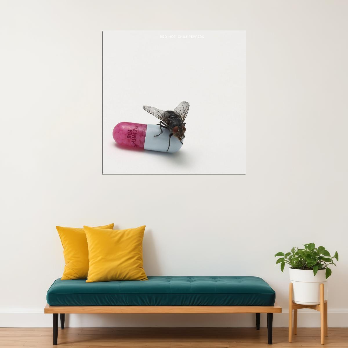 Red Hot Chili Peppers I'm With You Album Cover Art Rock Music Poster Band Wall Print - xonomax
