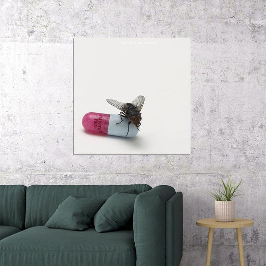 Red Hot Chili Peppers I'm With You Album Cover Art Rock Music Poster Band Wall Print - xonomax