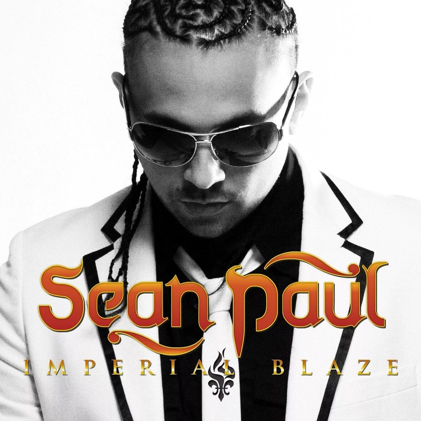 Sean Paul Imperial Blaze Album Cover Art Reggae Music Poster Famous Singer Wall Print