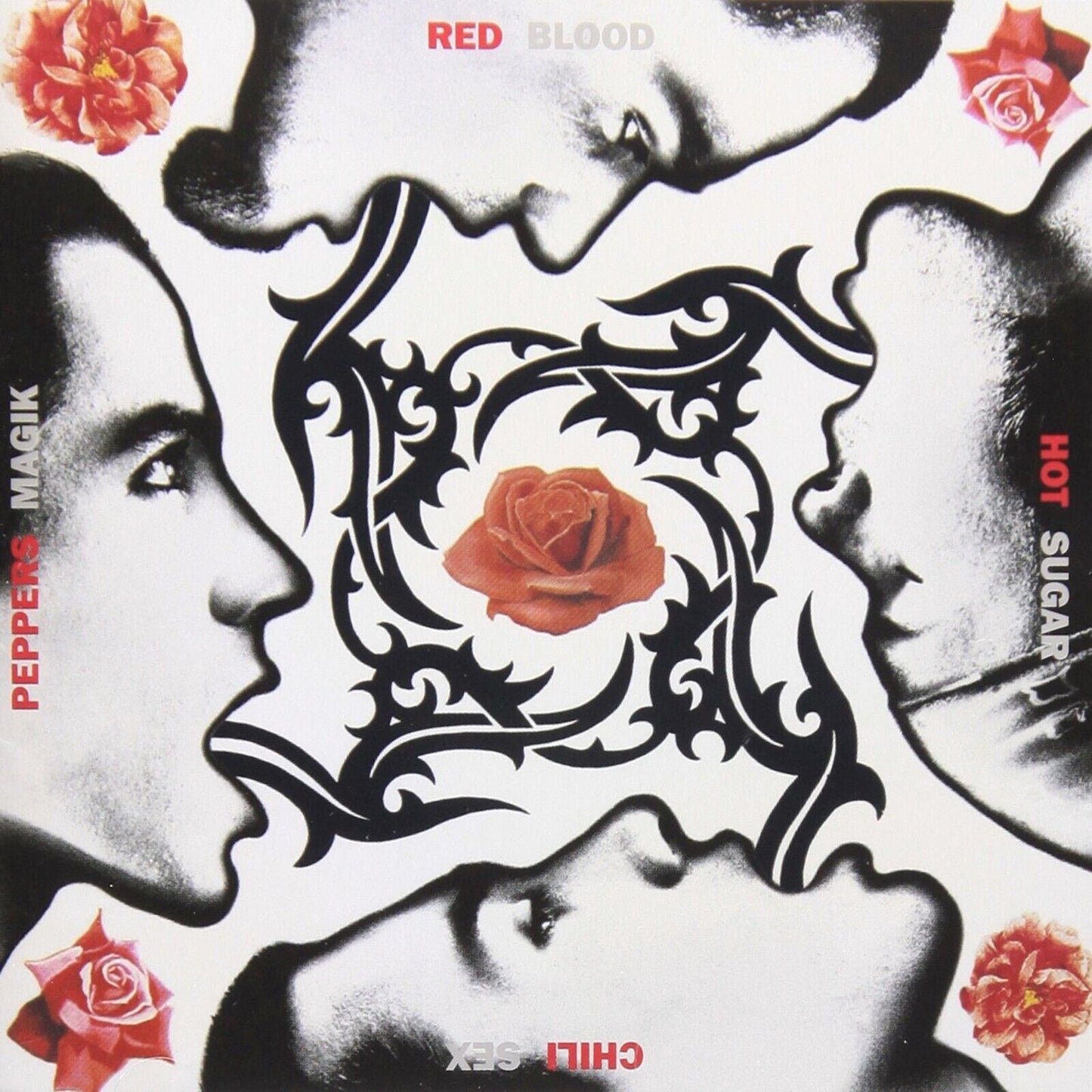 Red Hot Chili Peppers Blood Sugar Sex Magik Album Cover Art Rock Music Poster Band Wall Print