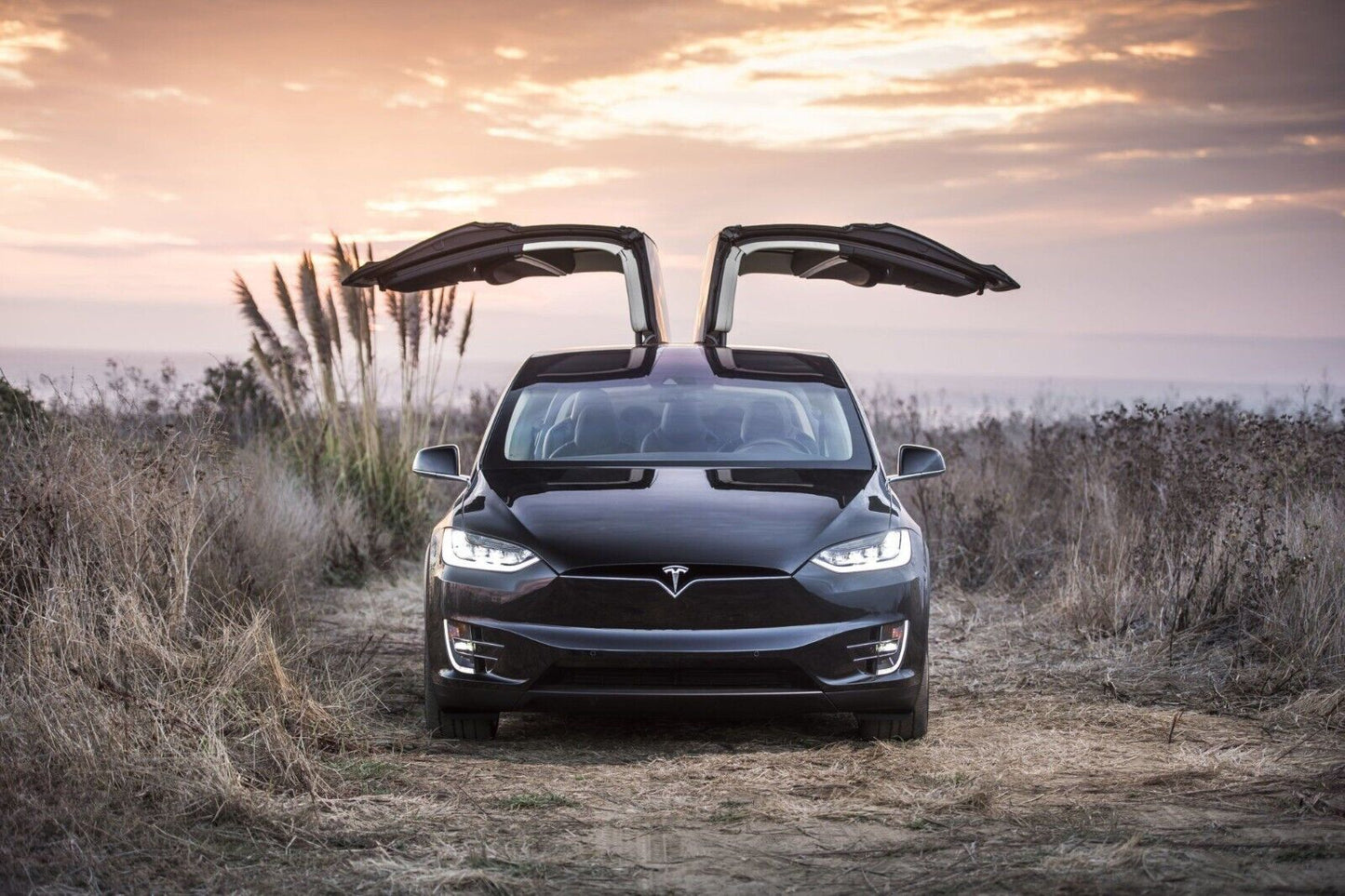 Tesla Sports Car Poster Iconic Electric Vehicle Wall Art - xonomax