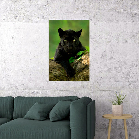 Animal Black Panther Photo Poster Wall Art Print Home Wall Decor - xonomax