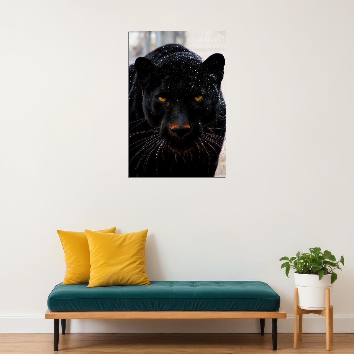 Animal Mean Black Panther Poster Wall Art Print Home Wall Decor