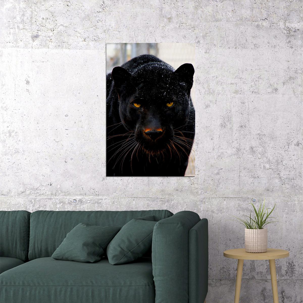 Animal Mean Black Panther Poster Wall Art Print Home Wall Decor