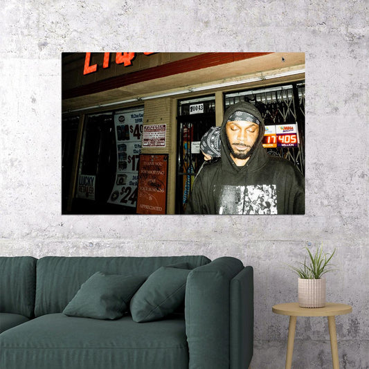 Jpegmafia Professional Rapper Lp Music Album Poster Wall Art Print Home Wall Decor - xonomax
