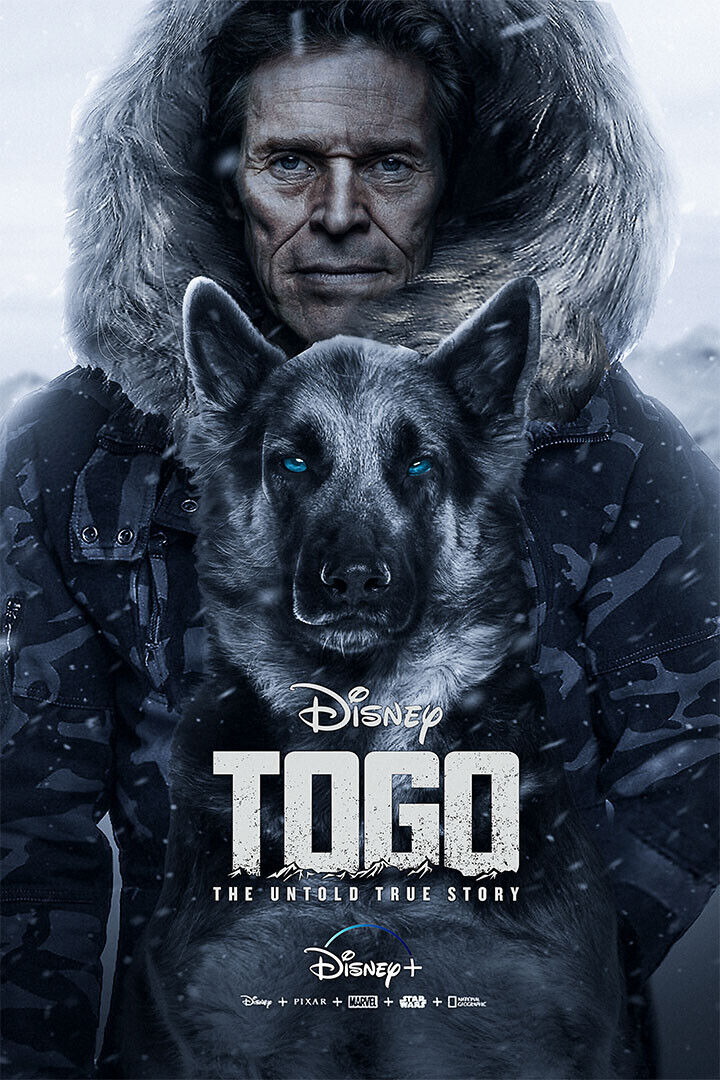 Poster Togo Movie 2019 The True Story Drama Biography Poster Wall Art Poster Togo Movie 2019 The True Story Drama Biography Poster Wall Art