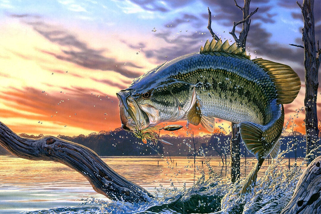 Bass Fishing Lake Sunset Submarine Creatures Poster Wall Art Print Home Wall Decor