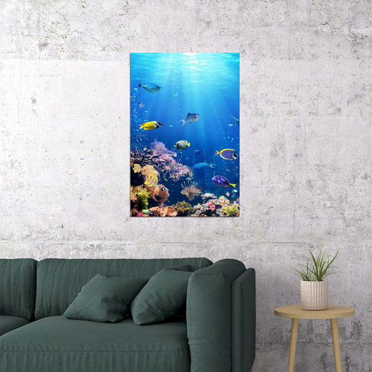 Underwater Sea Life Water Animals Poster Wall Art Print Home Wall Decor - xonomax