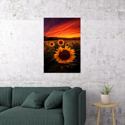 Sunflowers Picture Poster Wall Art Print Home Wall Decor - xonomax