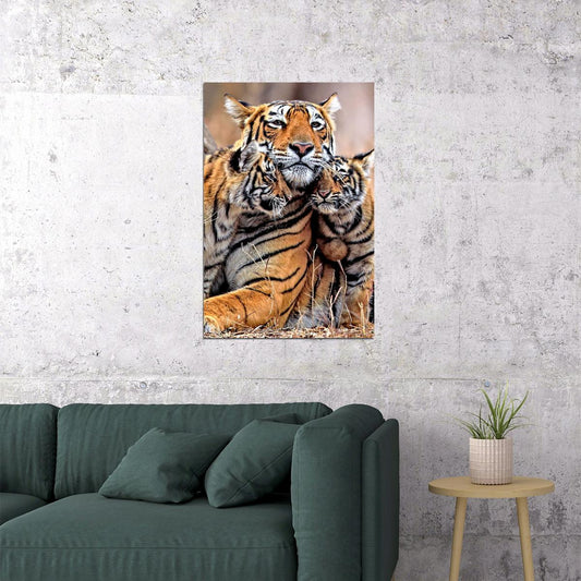 Bengal Orange Tiger With Two Cubs Family Poster Wall Art Print Home Wall Decor - xonomax