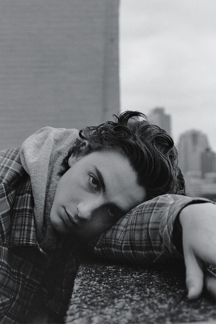 Timothee Chalamet American French Actor Poster Wall Art Print Home Wall Decor - xonomax