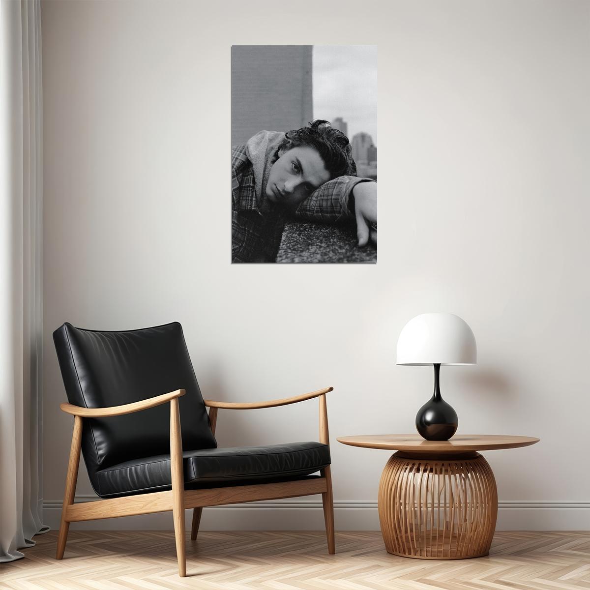 Timothee Chalamet American French Actor Poster Wall Art Print Home Wall Decor - xonomax