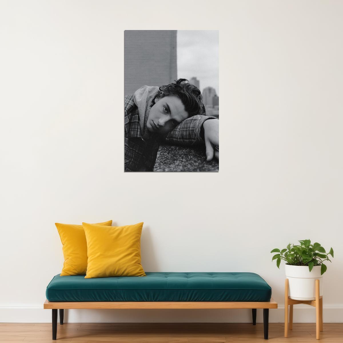 Timothee Chalamet American French Actor Poster Wall Art Print Home Wall Decor - xonomax