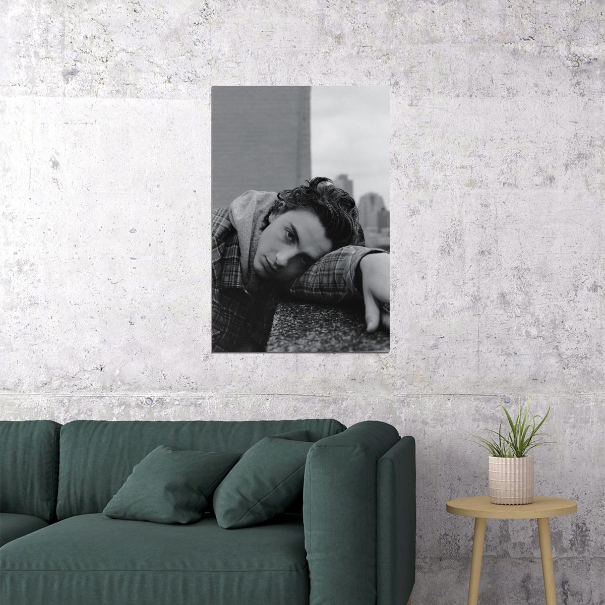 Timothee Chalamet American French Actor Poster Wall Art Print Home Wall Decor - xonomax
