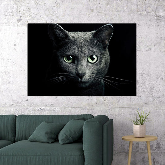 Cute Black Cat Looking At The Camera Animals Poster Wall Art Print Home Wall Decor - xonomax