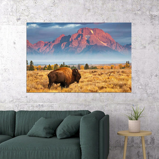 Bison National Park Wild Animals Landscape Poster Wall Art Print Home Wall Decor - xonomax