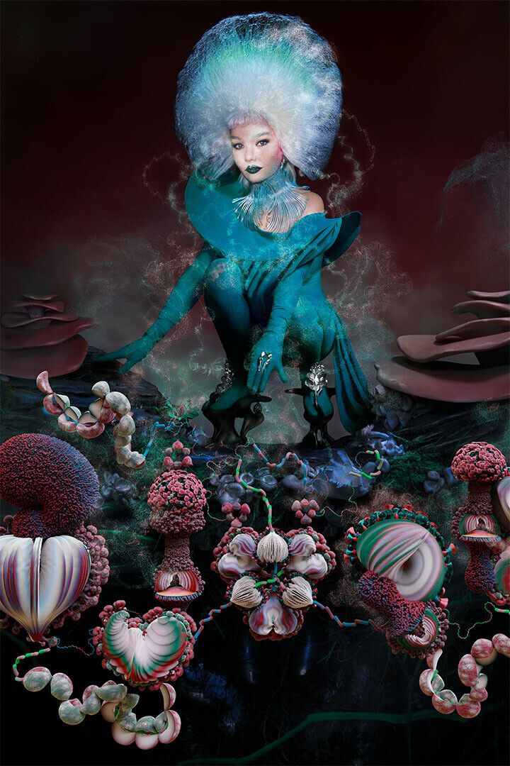 Singer Bjork Gudmundsdottir Fossora Music Album Poster Wall Art Print Home Wall Decor - xonomax