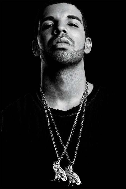 Drake Rapper Artist Rap Music Singer Songwriter Poster Wall Art Print Home Wall Decor - xonomax