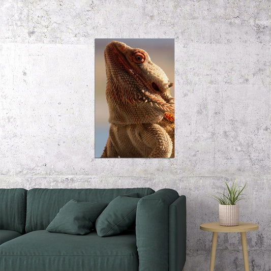 Inland Bearded Dragon Desert Animals Poster Wall Art Print Home Wall Decor - xonomax