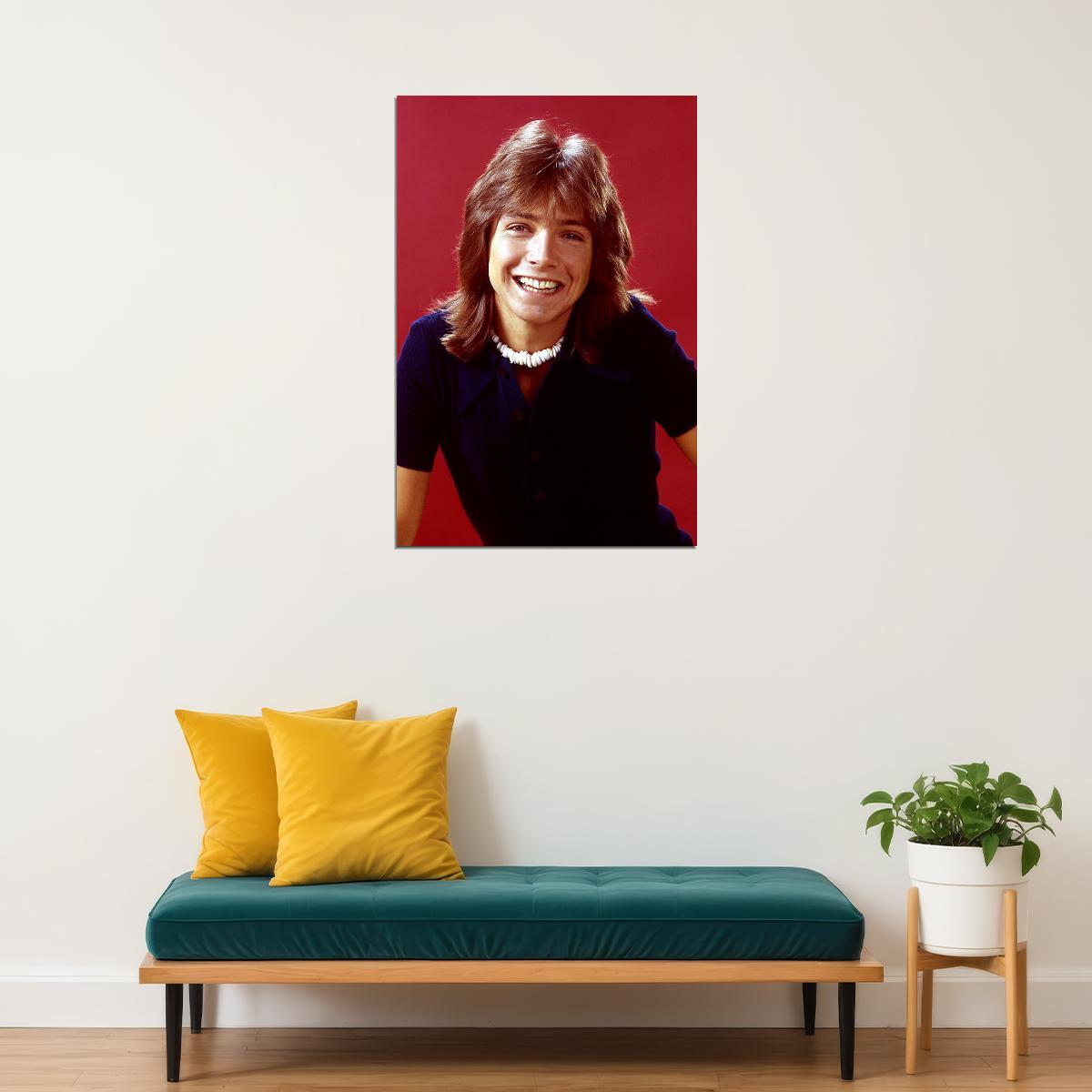 Actor David Cassidy Smiling Singer Songwriter Poster Wall Art Print Home Wall Decor - xonomax