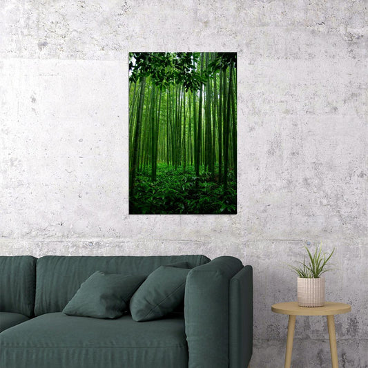 Bamboo Forest In China Tropical Trees Poster Wall Art Print Home Wall Decor - xonomax
