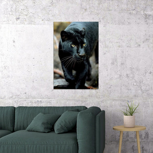 Mean Black Panther Animals Poster Wall Art Print Home Wall Decor - xonomax