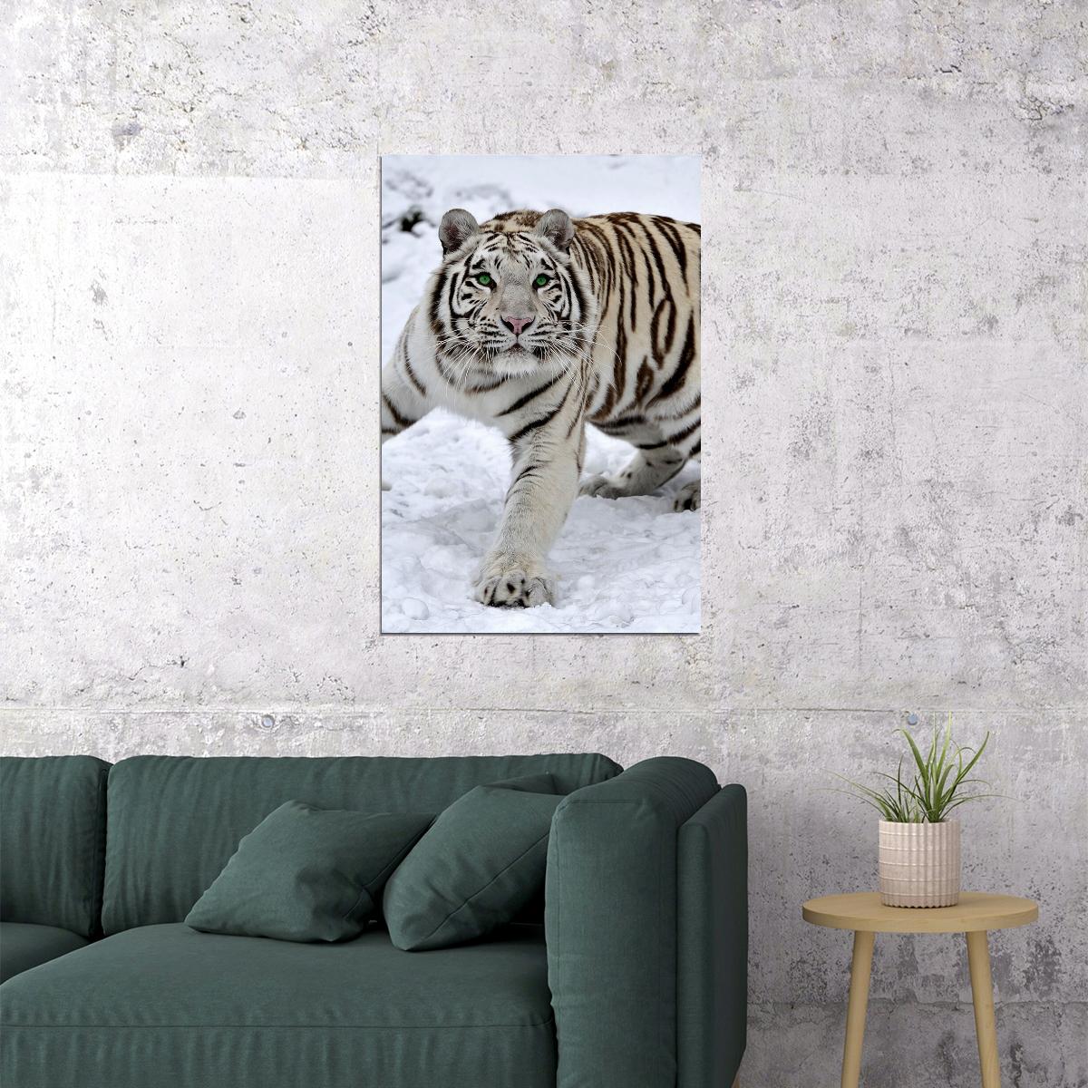 Siberian Tiger With Green Eyes White Snow Poster Wall Art Print Home Wall Decor