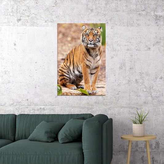Tiger Psychedelic Wild Animals Africa Cat Poster Wall Art Print Home Wall Decor - xonomax