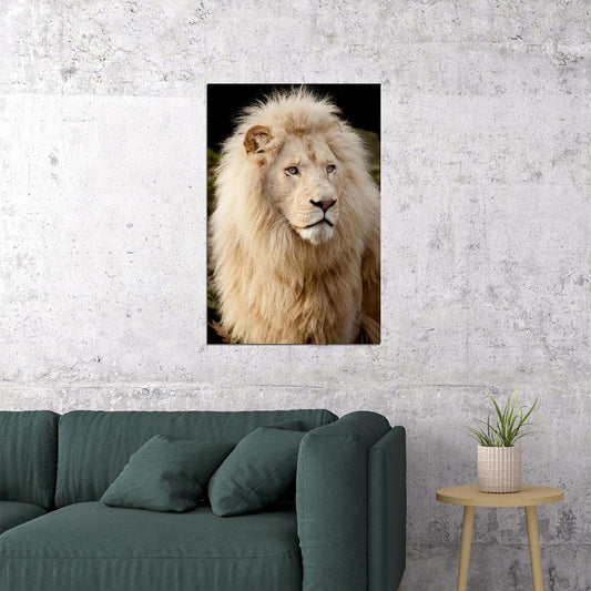 Lion King Of The Jungle Wild Animal Jungle Animal Poster Wall Art Print Home Wall Decor - xonomax