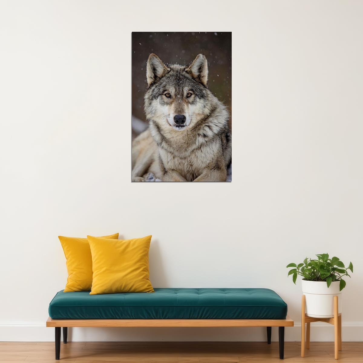 Wolf Wild Life Sitting Animal Nature Picture Poster Wall Art Print Home Wall Decor - xonomax