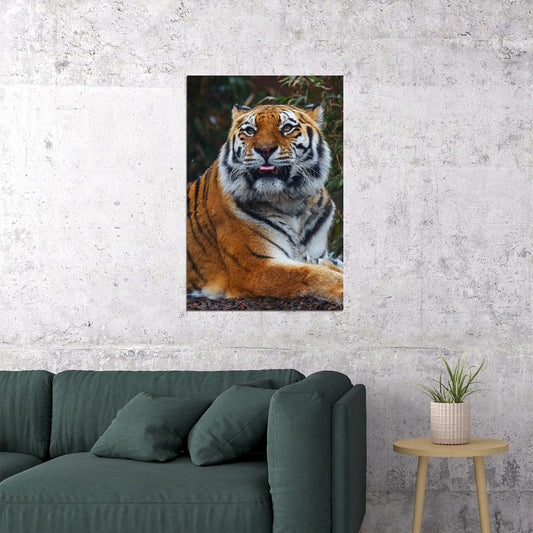 Tiger Sitting In The Forest Poster Wall Art Print Home Wall Decor - xonomax