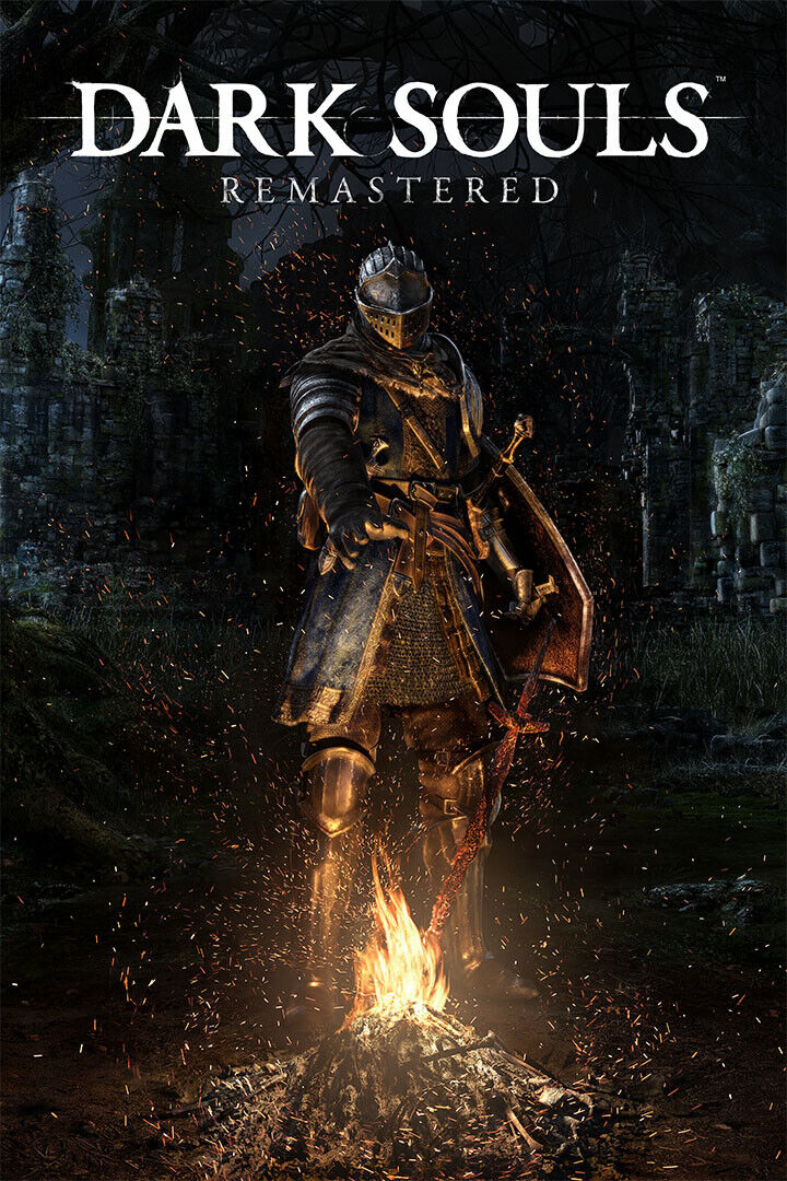 Dark Souls Video Game Role Playing Game Action Poster Wall Art Print Home Wall Decor