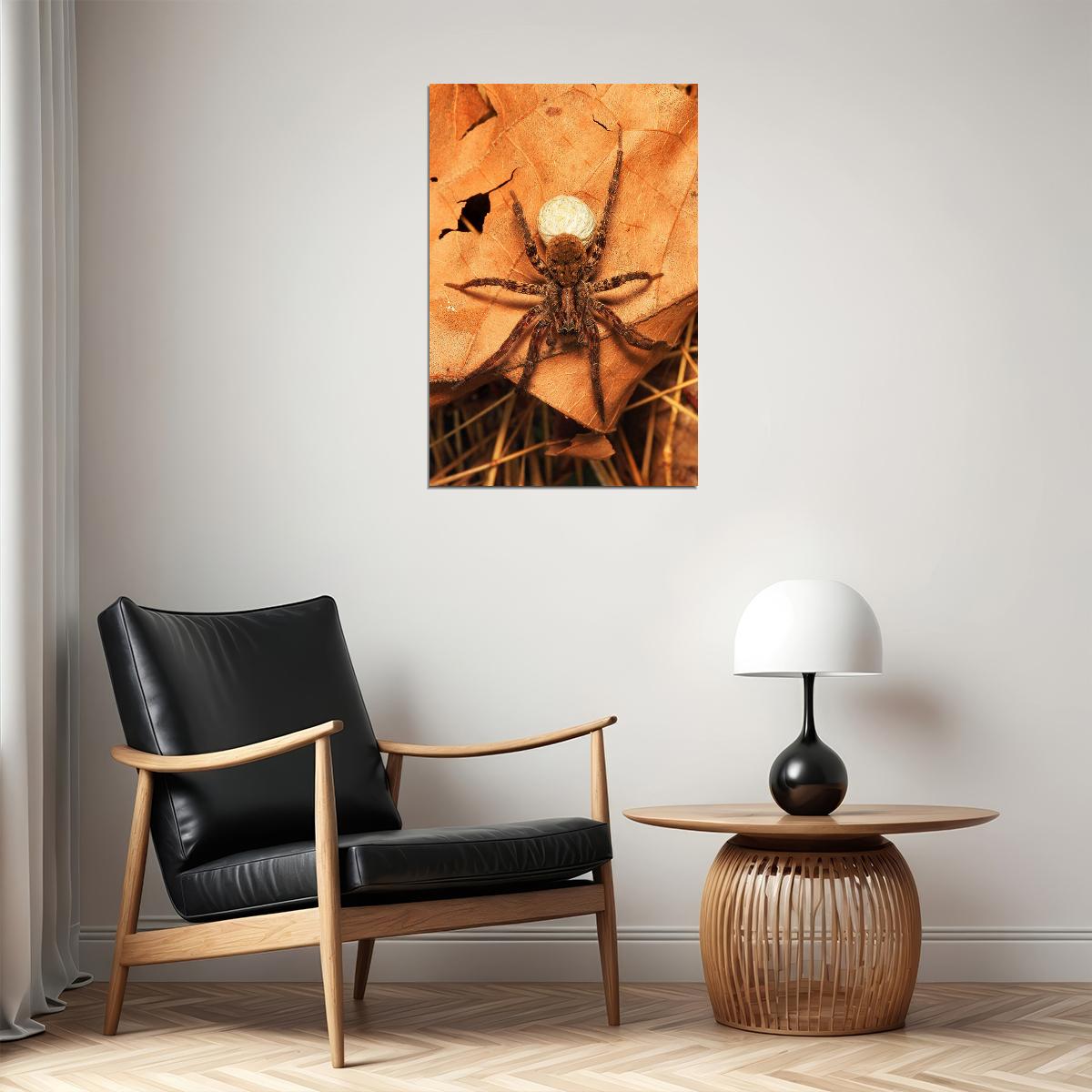 Wolf Spider On The Plant Arthropod Animals Poster Wall Art Print Home Wall Decor - xonomax
