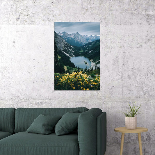 Tree Stump And Mist North Cascades National Park Poster Wall Art Print Home Wall Decor - xonomax